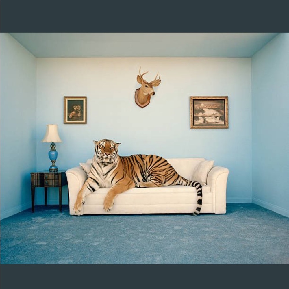 Meet your Posher, Ian